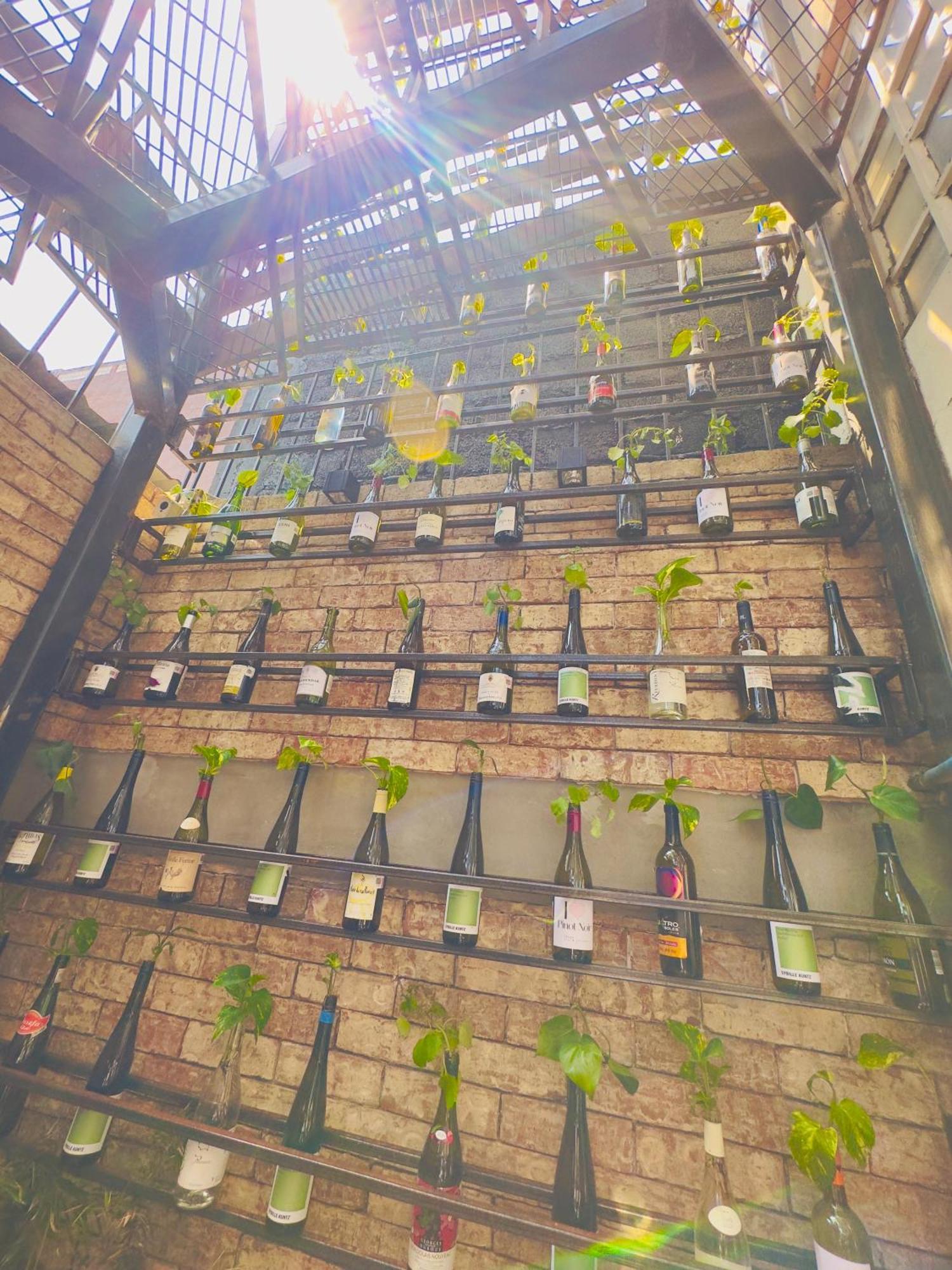 Del Lago Lofts Mexico City Exterior photo